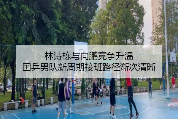 林诗栋与向鹏竞争升温 国乒男队新周期接班路径渐次清晰